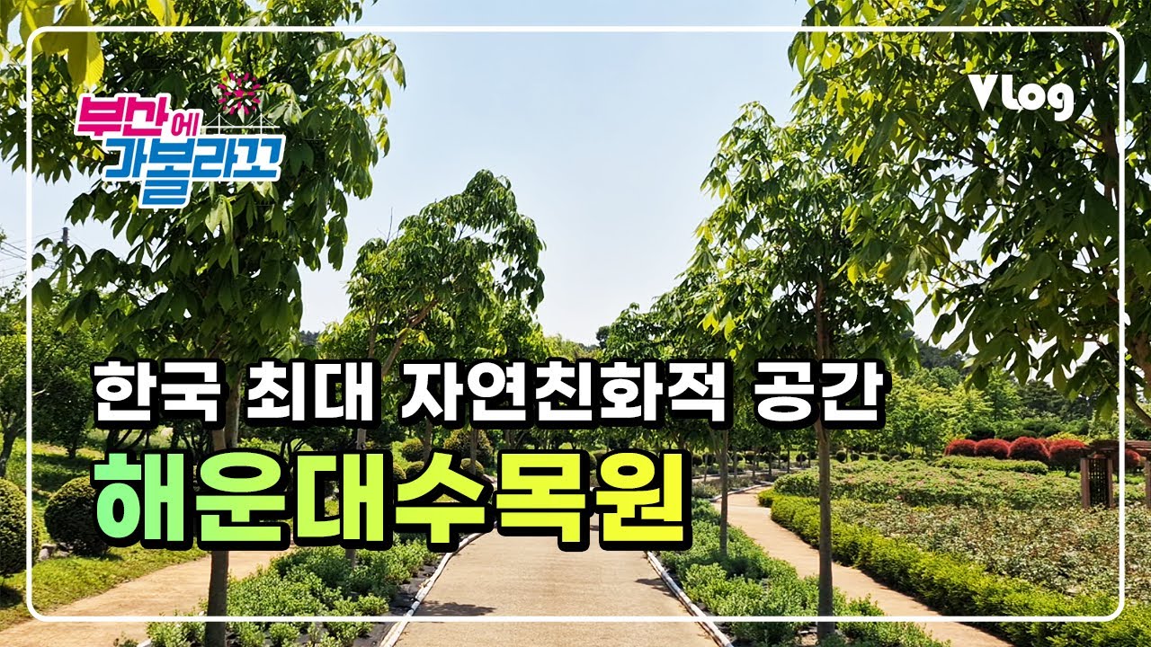 자연친화적인 국내 최대 공립수목원 | 해운대수목원(Haeundae Arboretum)