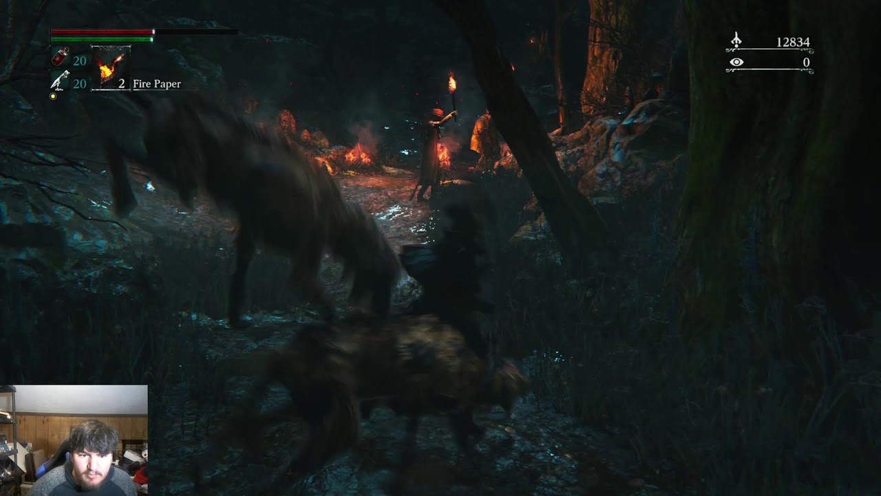 Looking For The Remaining Umbilical Cords..Great - Bloodborne [14]