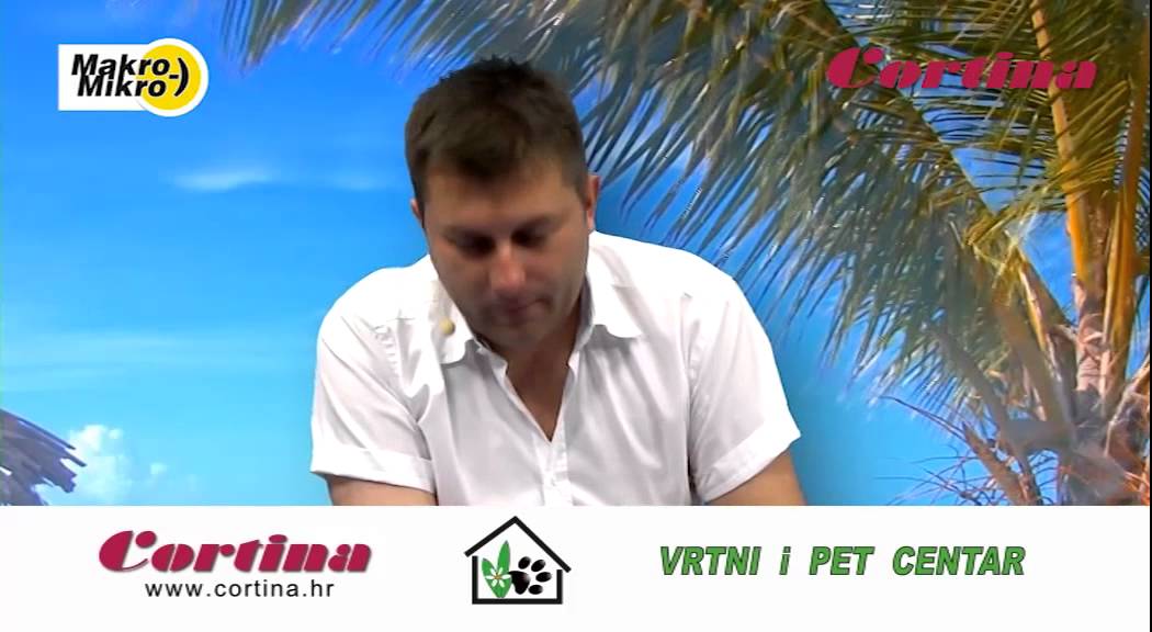 U zdrav mozak Summer 2 - Jurkotić premijer | PRANK CALL