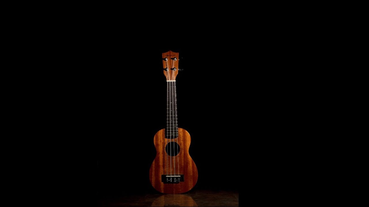 Walk Like An Egyptian, MrRay ukulele cover.