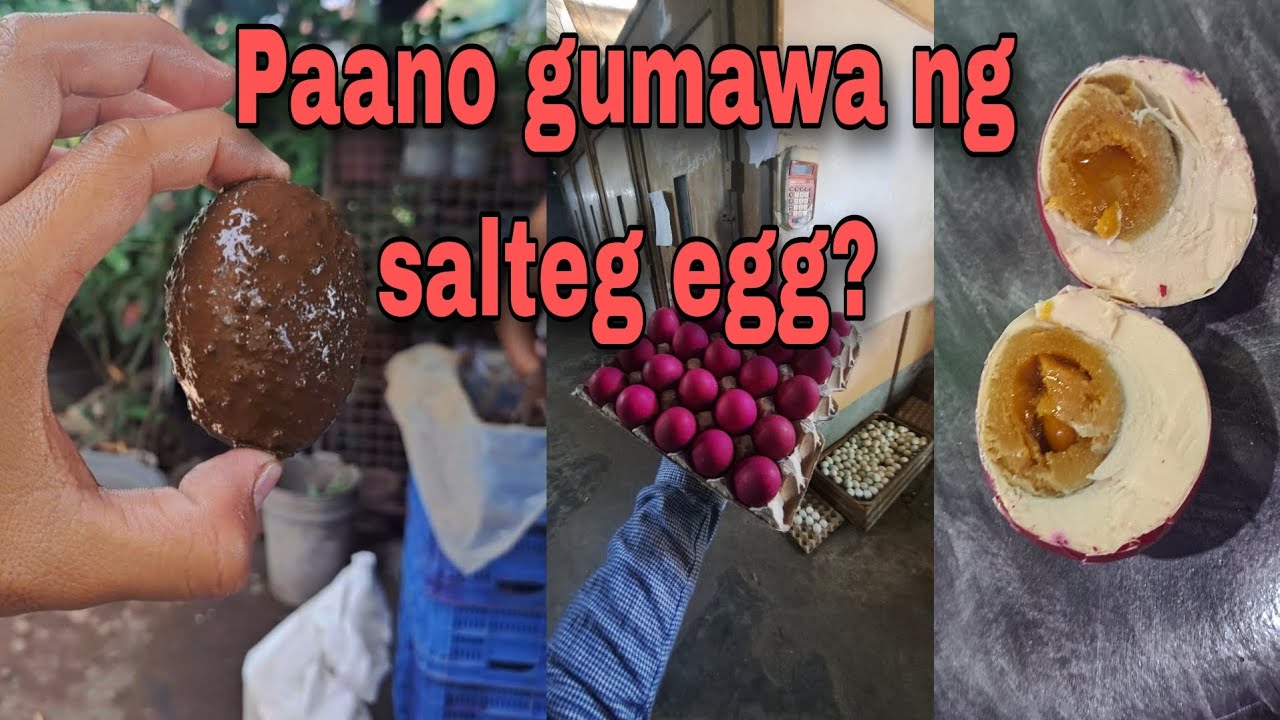 Paano gumawa ng SALTED EGG? (DUCK EGGS)