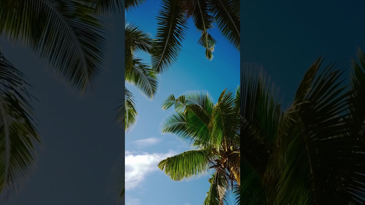 Stopover in Fiji: my experience #traveltips