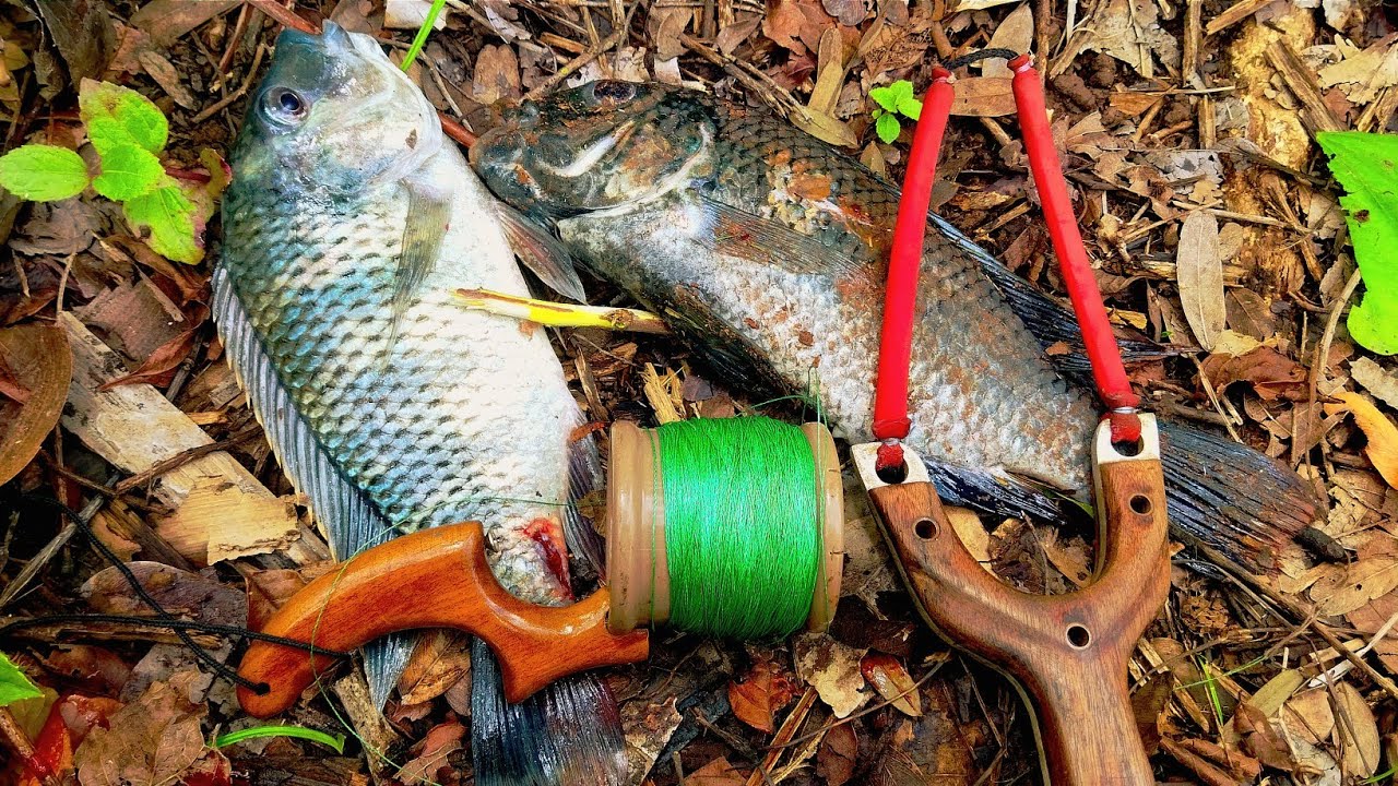 CARRETEL @guiadomato TESTADO E APROVADO PESCA COM ESTILINGUE SLINGSHOT FISHING 🇧🇷