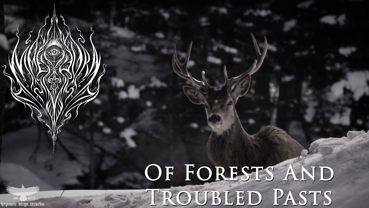 Maeskyyrn - Of Forests And Troubled Pasts (Official Video | Atmospheric Black Metal)