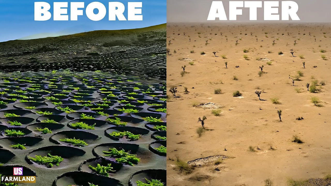 How Climate Change Impacts Agriculture and Farming Industry