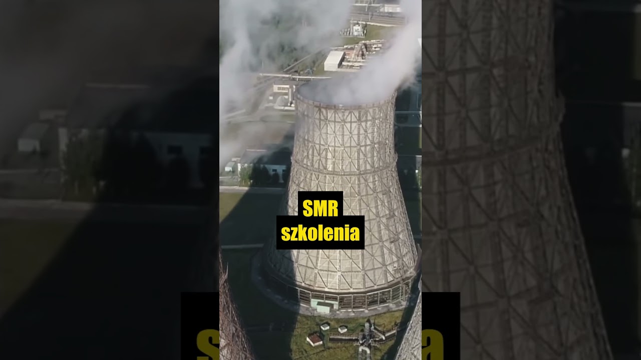 Co zyskuje Polska na sojuszu z Kanadą? #polska #kanada #sojusz