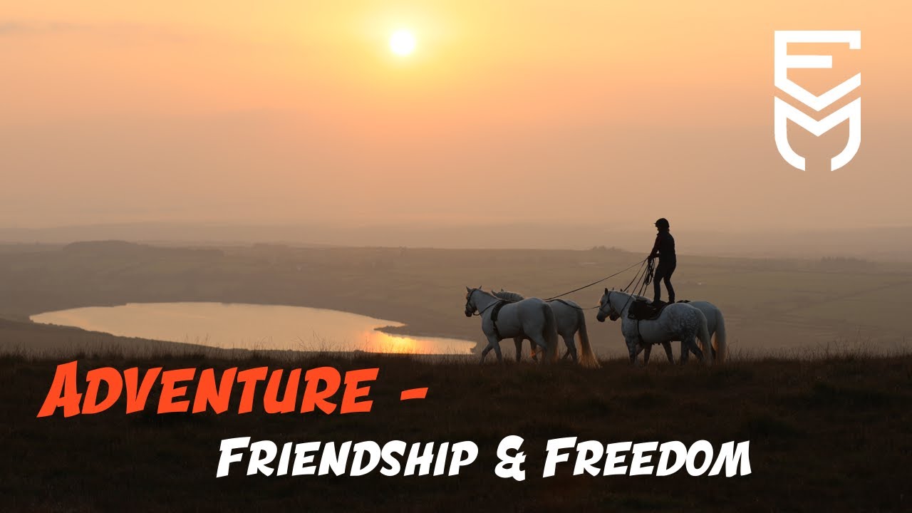 Adventure - Friendship & Freedom