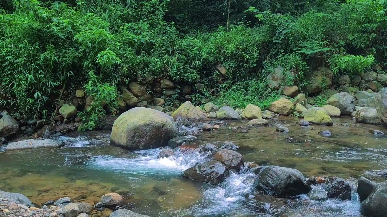 Moonlight River Ambience – Gentle ASMR Water Flow for Better Sleep All Night Long