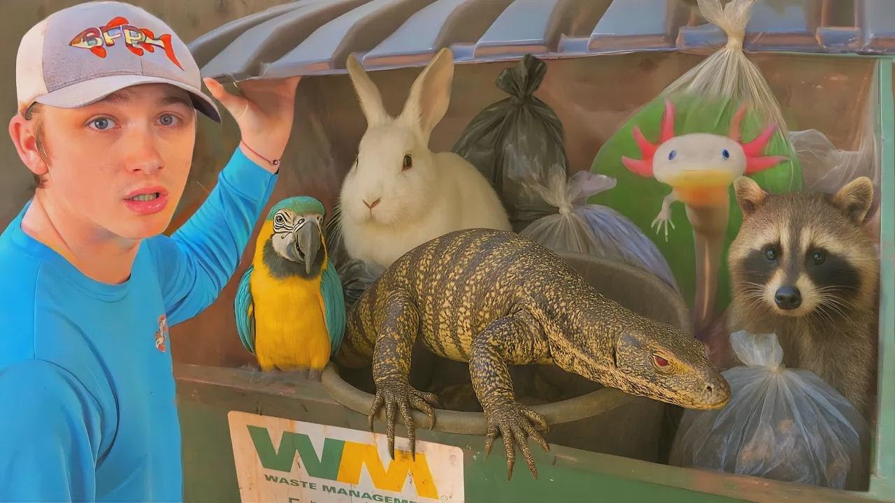 Znalazłem żywe zwierzaki w śmietniku za sklepem zoologicznym!