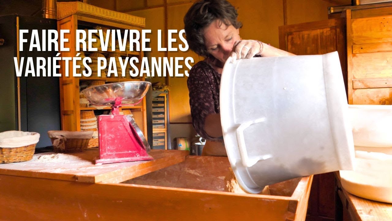 300 variétés anciennes préservées grâce à ces paysan·nes boulangèr·es (Boulang’Tour #5)
