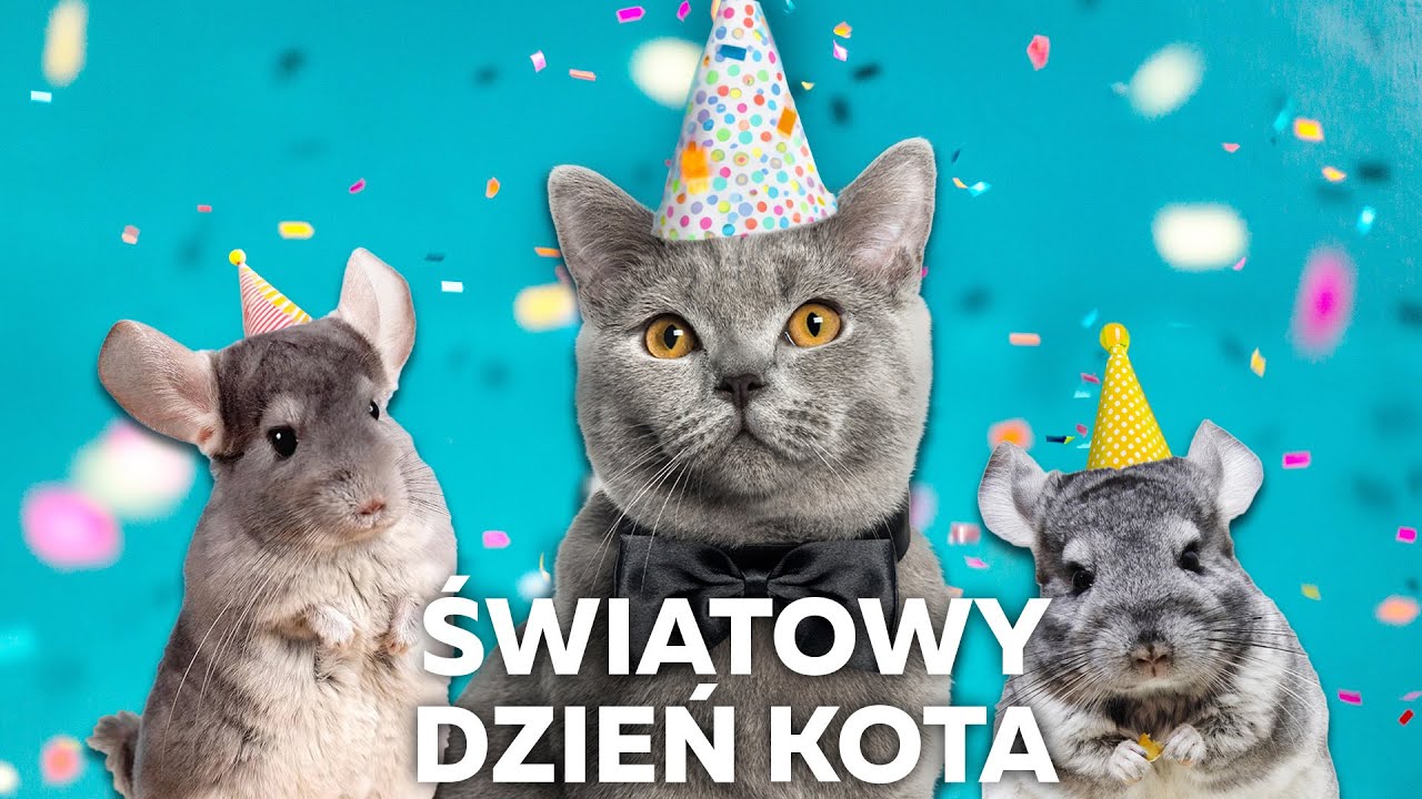Światowy Dzień Kota