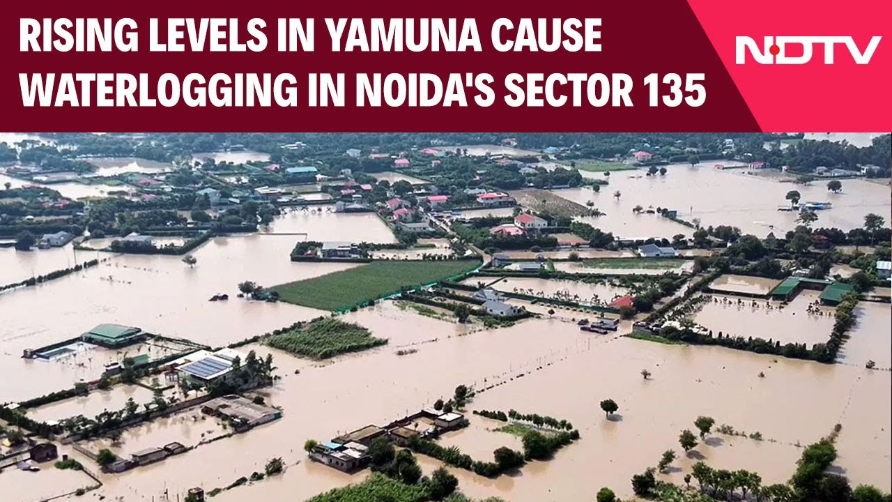 Yamuna Water Level Today | Rising Water Levels In Yamuna Cause Waterlogging In Noida's Sector 135