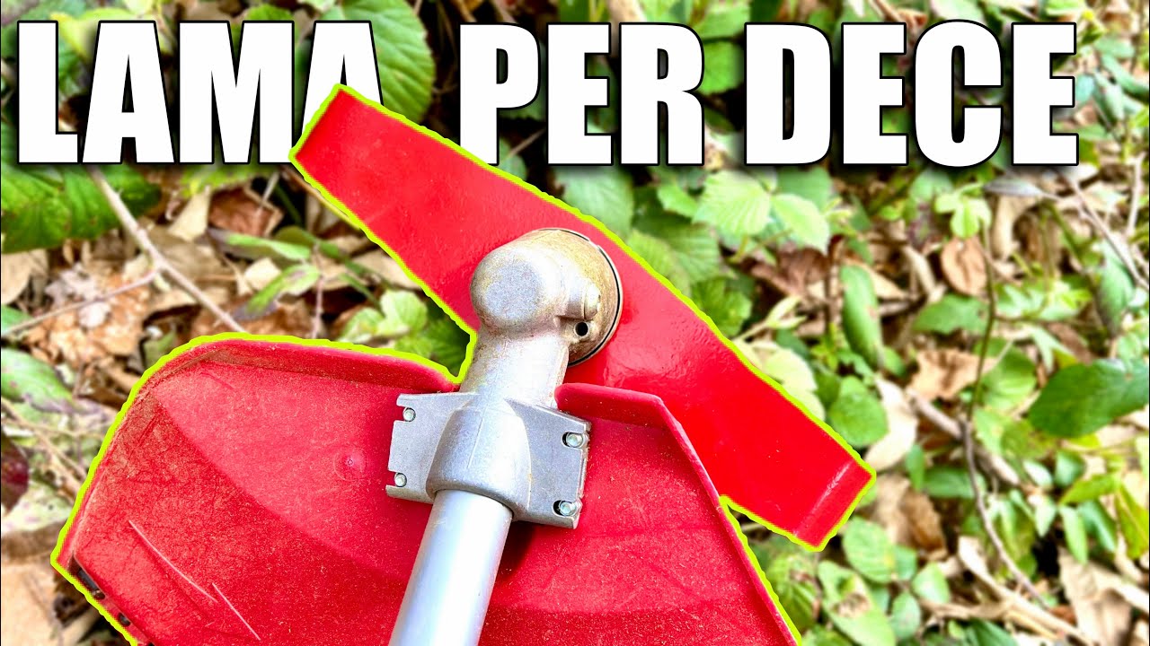 LAMA per DECESPUGLIATORE a DUE DENTI! Test e prime impressioni