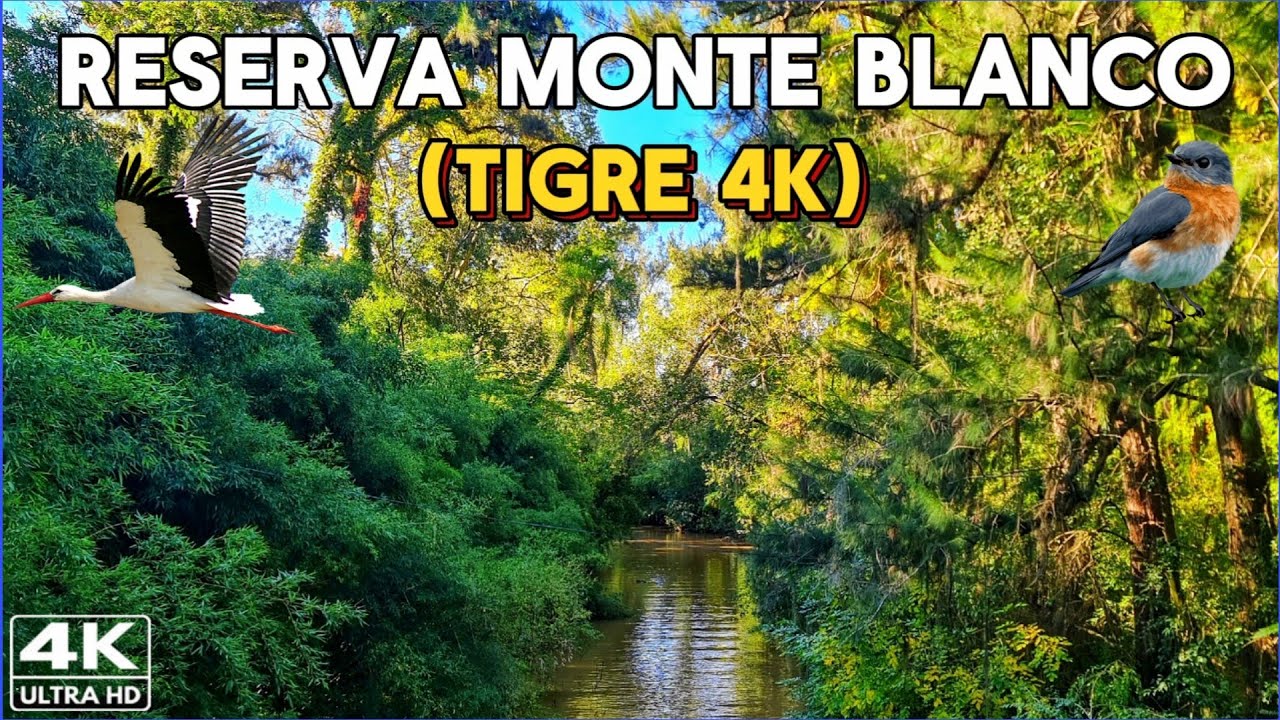 【4K】Descubrí la BELLEZA de la Reserva MONTE BLANCO - Tigre, Buenos Aires 🇦🇷 | Paseo Delta Terra