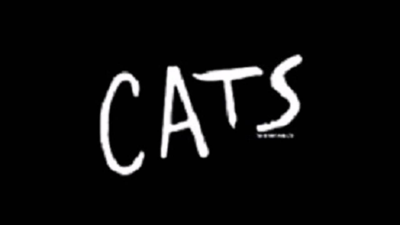 CATS, le musical à Mogador - Acte II