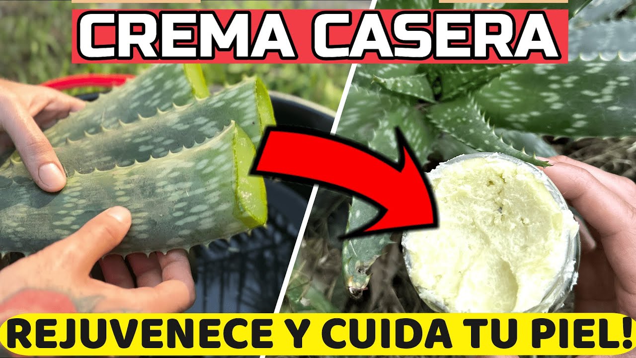 Crema Natural ANTI-ENVEJICIMIENTO Con Aloe Ver&aacute; o S&aacute;bila! F&aacute;cil y R&aacute;pido