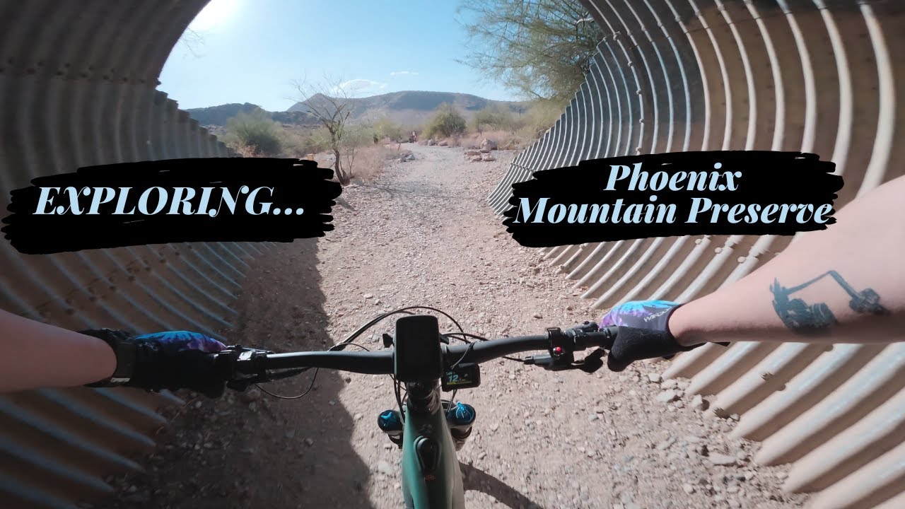 Phoenix Mountain Preserve: Exploring Trail 100 On A Mountain Bike
