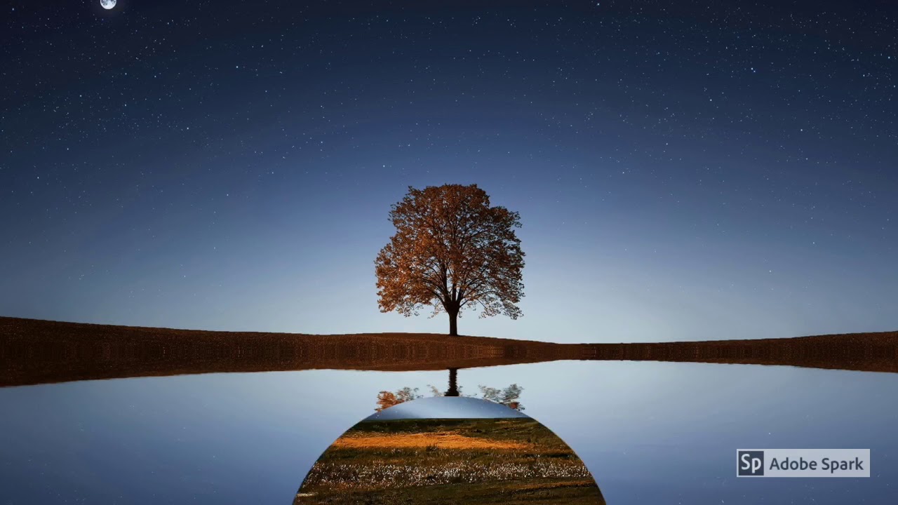 Need to relax? - but only got a few minutes. Phil Parker