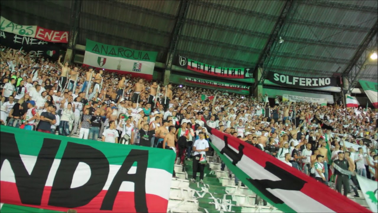 Holocausto Norte / Queremos la copa / 2019