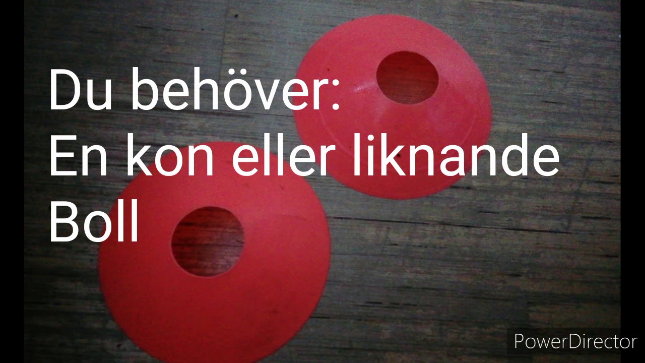 Fint och skott &ouml;vningar med kon