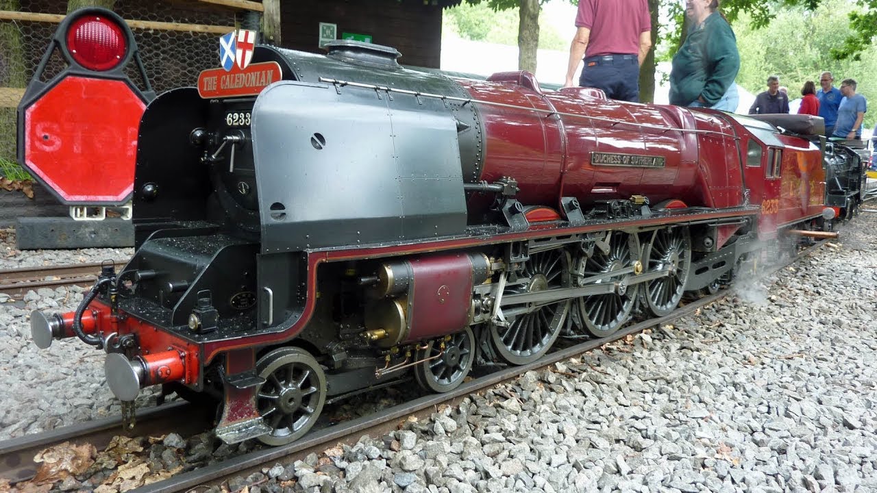 POSTPRANDIAL CAVALCADE AT ECHILLS WOOD RAILWAY MAINLINE EVENT, 2019