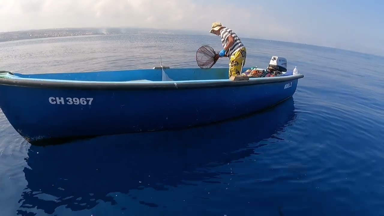 أرواح تشوف تقنية الصيد بي الطعم الحي الحمد لله  pêche traditionnelle #peche #port #poisson 🐟🐟🛥️❤️