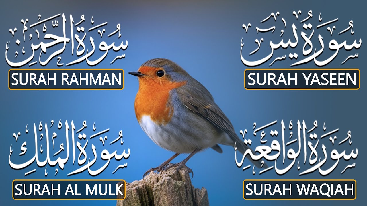 The Best Recitation Surah Yaseen Yasin  Surah Rahman  Surah Waqiah  Surah Mulk