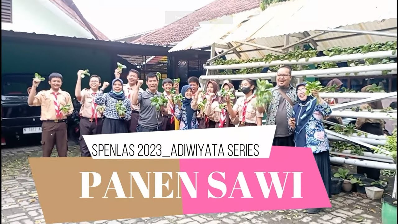 Adiwiyata Series - PANEN SAWI