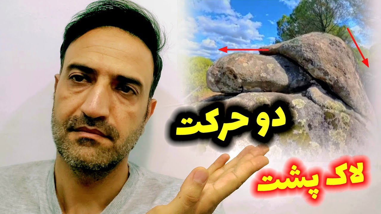 دوحالت مهم لاک پشت جاساز