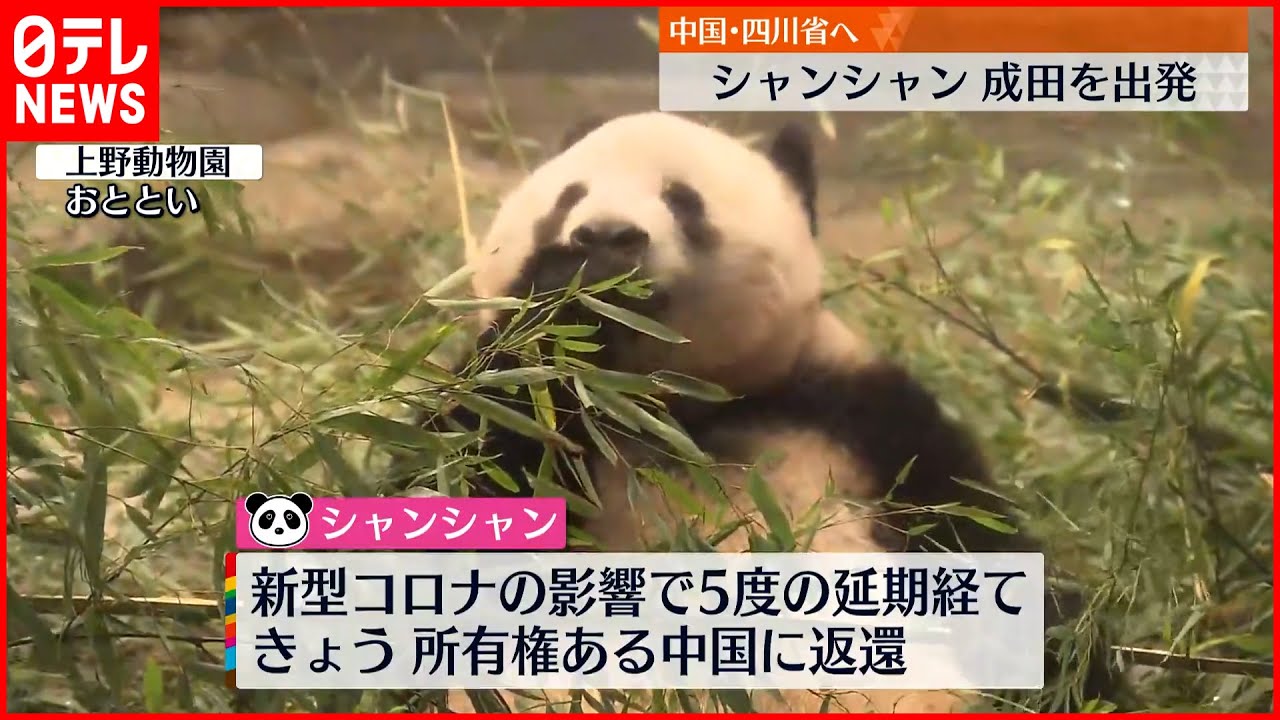 【シャンシャン】中国へ旅立ち  大勢のファン見送り…幸せ願って「いってらっしゃい」