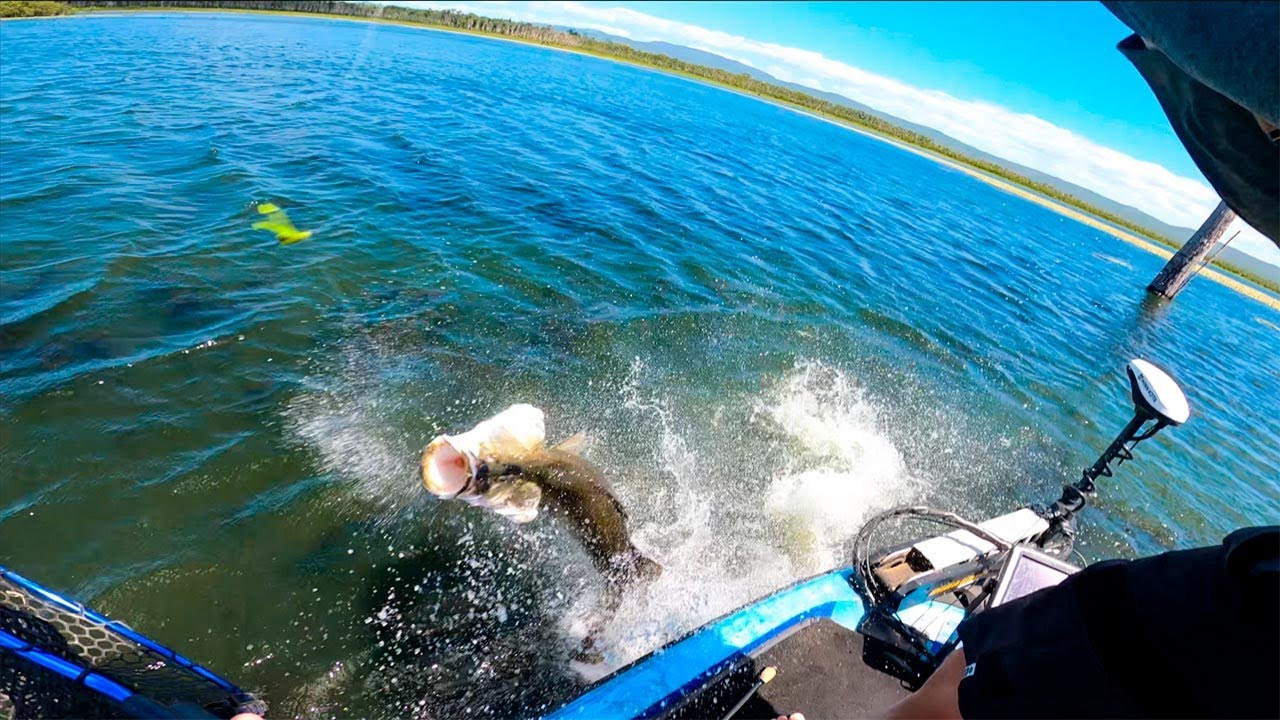 Barramundi fishing with topwater frogs sight casting