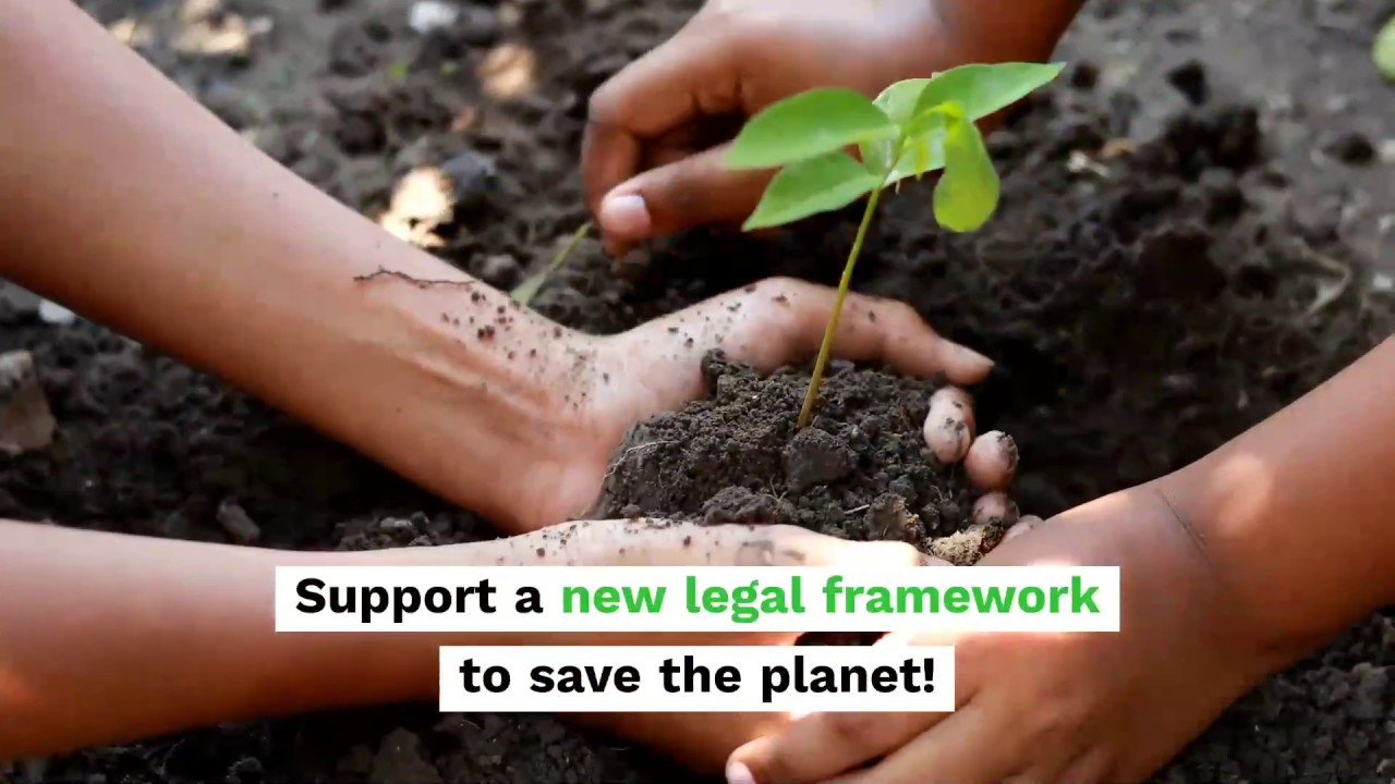Do we have the right to a healthy environment?
