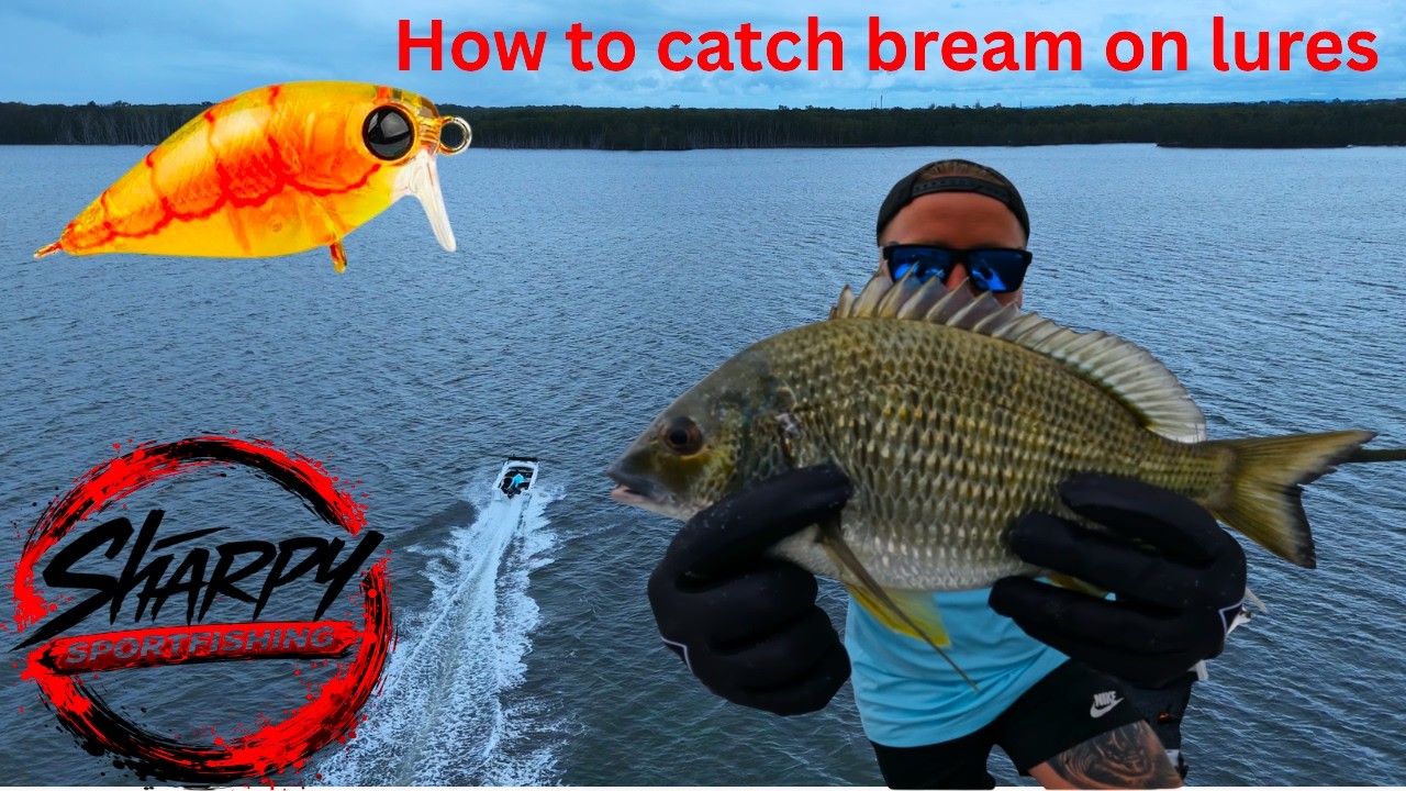 This Bream Lure Was Getting Destroyed! (New Boat)