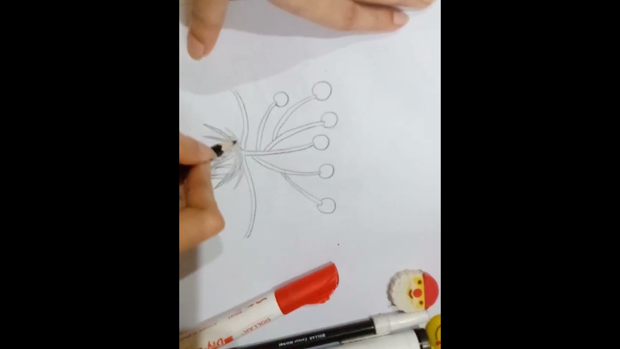 How to draw Rhizopus ✍️/Sea of knowledge