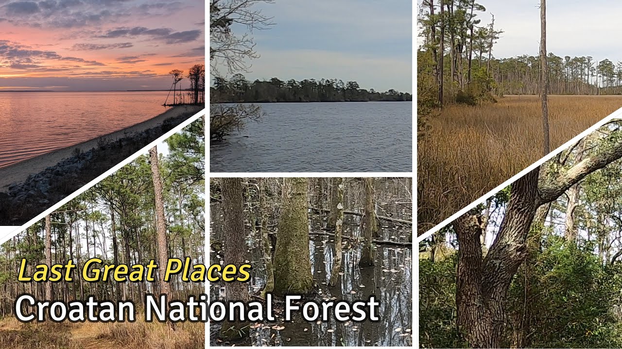 Croatan National Forest - Last Great Places