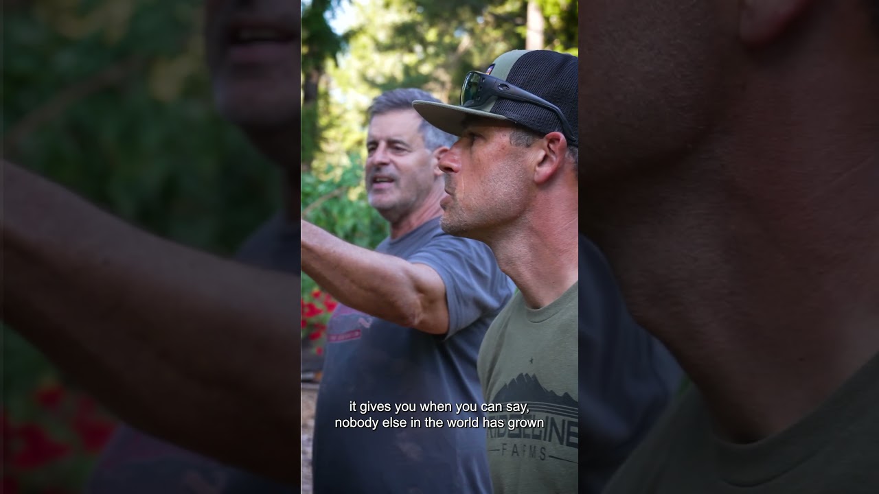 Johnny Casali and Jason Gellman walk the gardens at Huckleberry Hill Farm Part 03