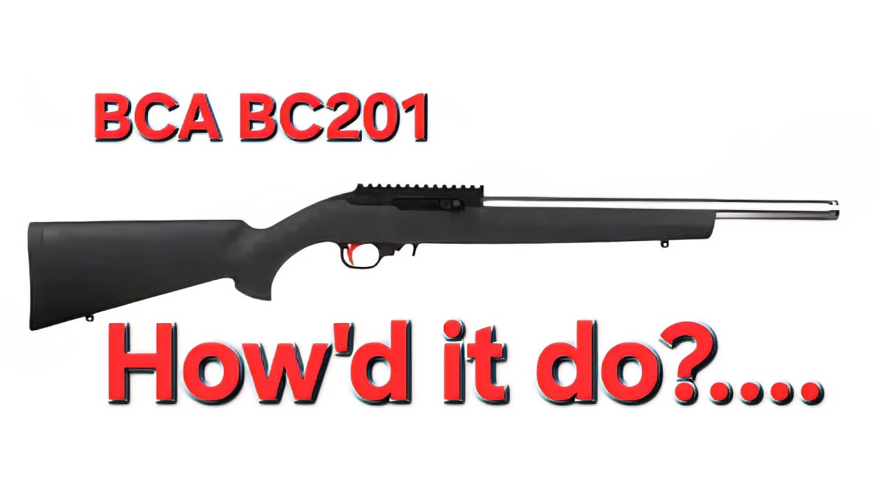 Bear Creek BC201 22lr Overview & Initial Testing!
