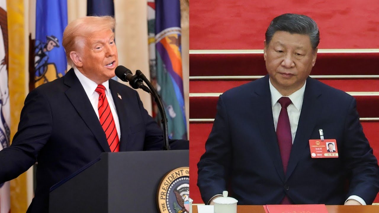 ‘Far smarter’ Trump dismantling China’s power by chopping down its roots
