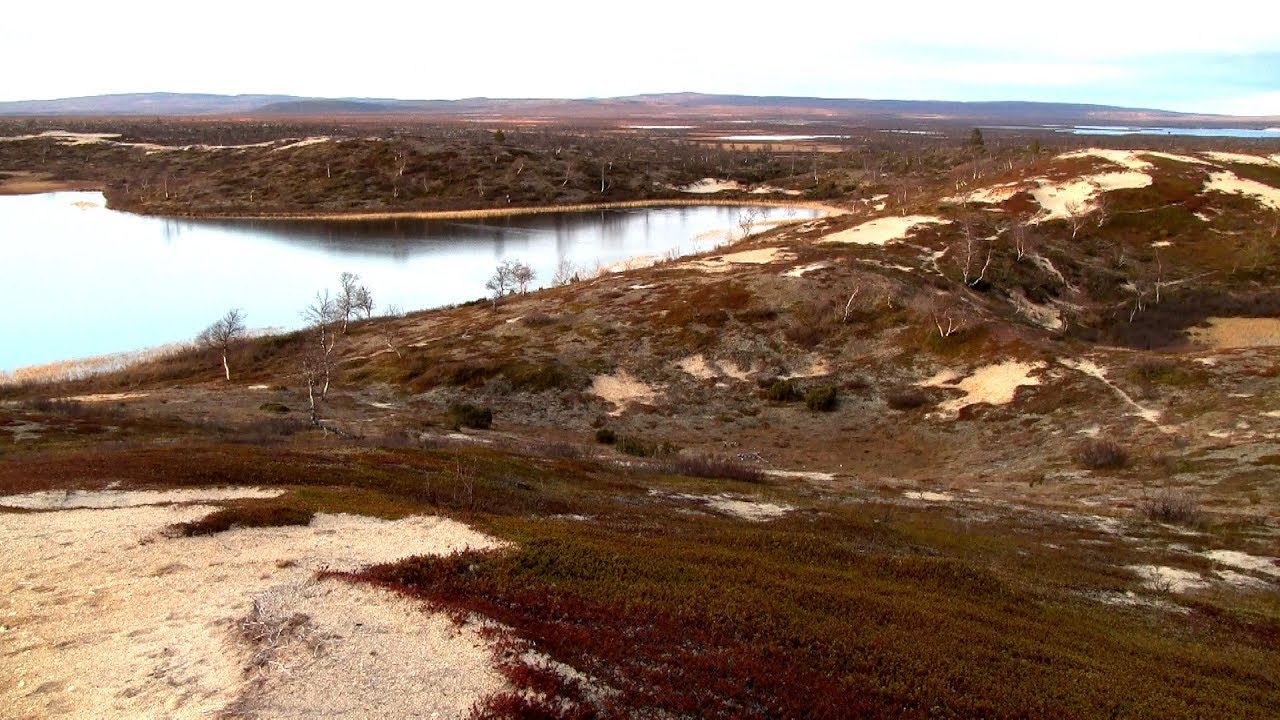 Pöyrisjärven erämaa