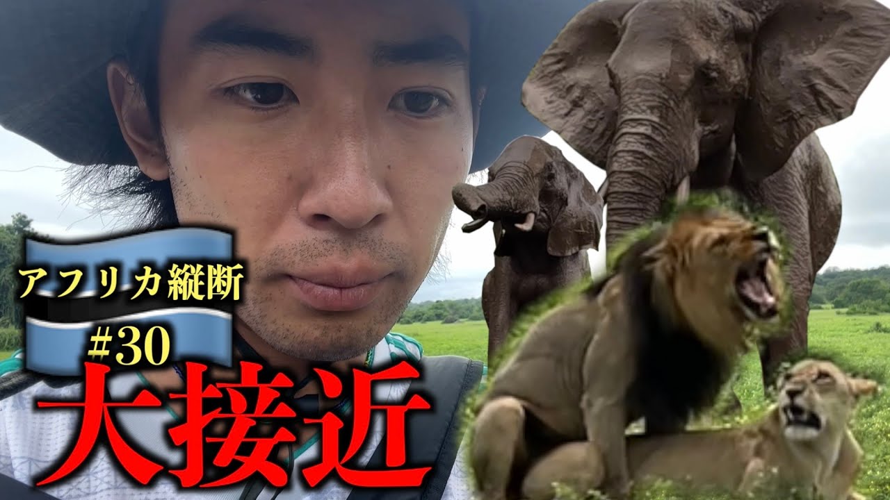 野生動物に大接近 ...【チョベ国立公園】