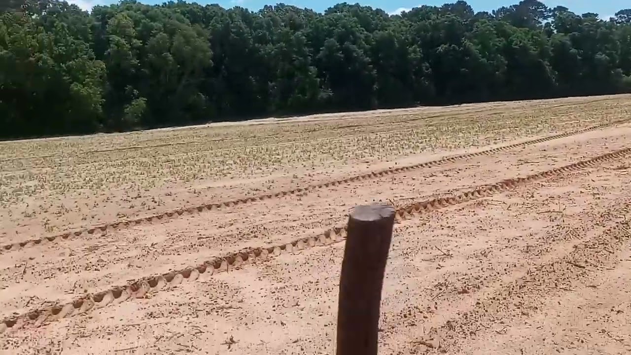 Arrowhead Hunting in Southeast Alabama | Field Walking & Some Photos | April - May 2022