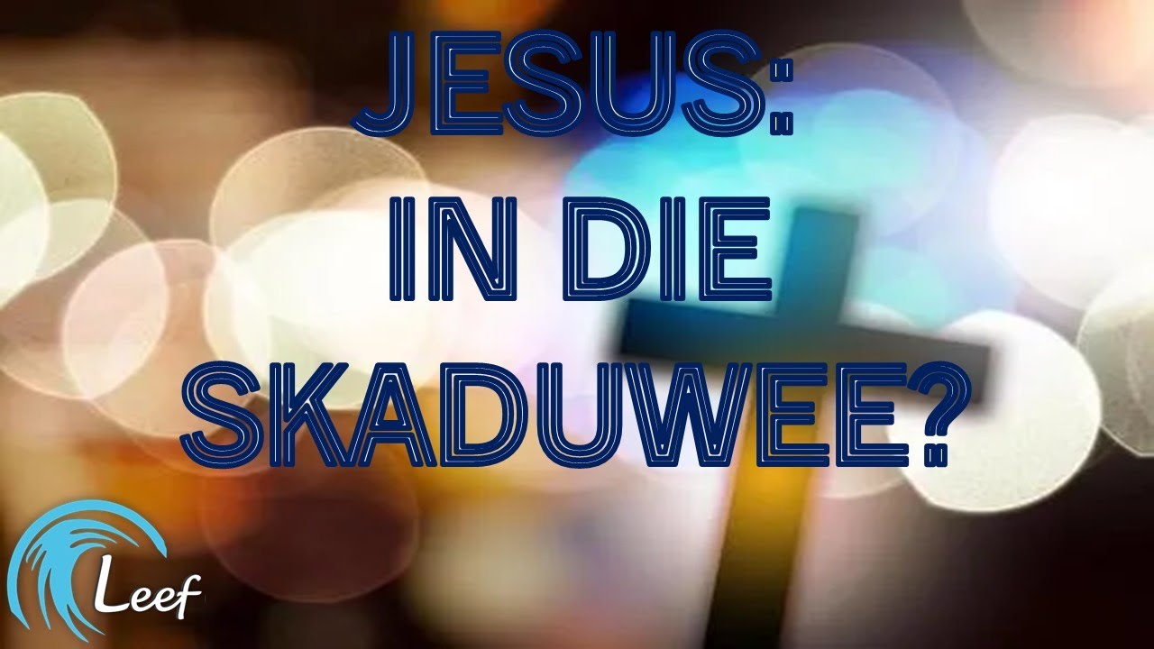 In die skaduwee