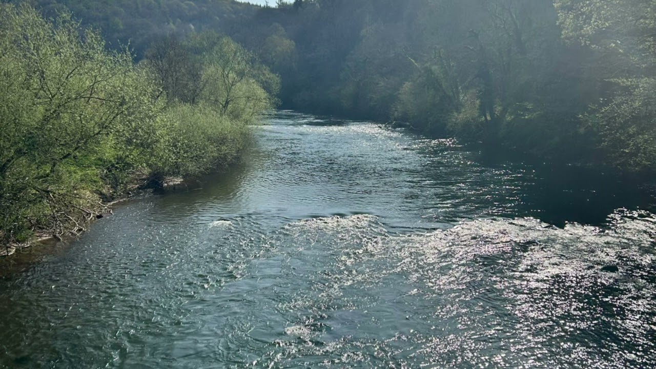 Water Journey Energy Clearing Meditation