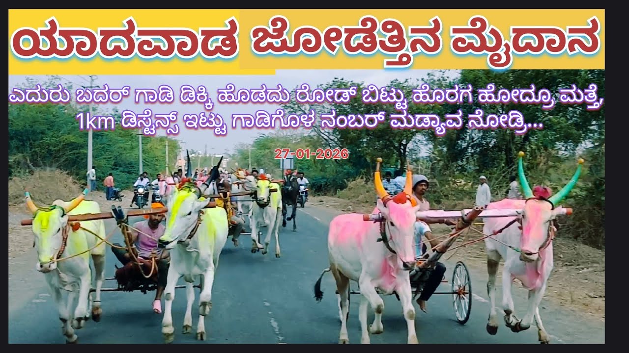 ಯಾದವಾಡ ಜೋಡೆತ್ತಿನ ಮೈದಾನ, Yadawad General Maidan,Yadawad Race, ಯಾದವಾಡ ಮೈದಾನ,यादवड मैदान, Bull Race