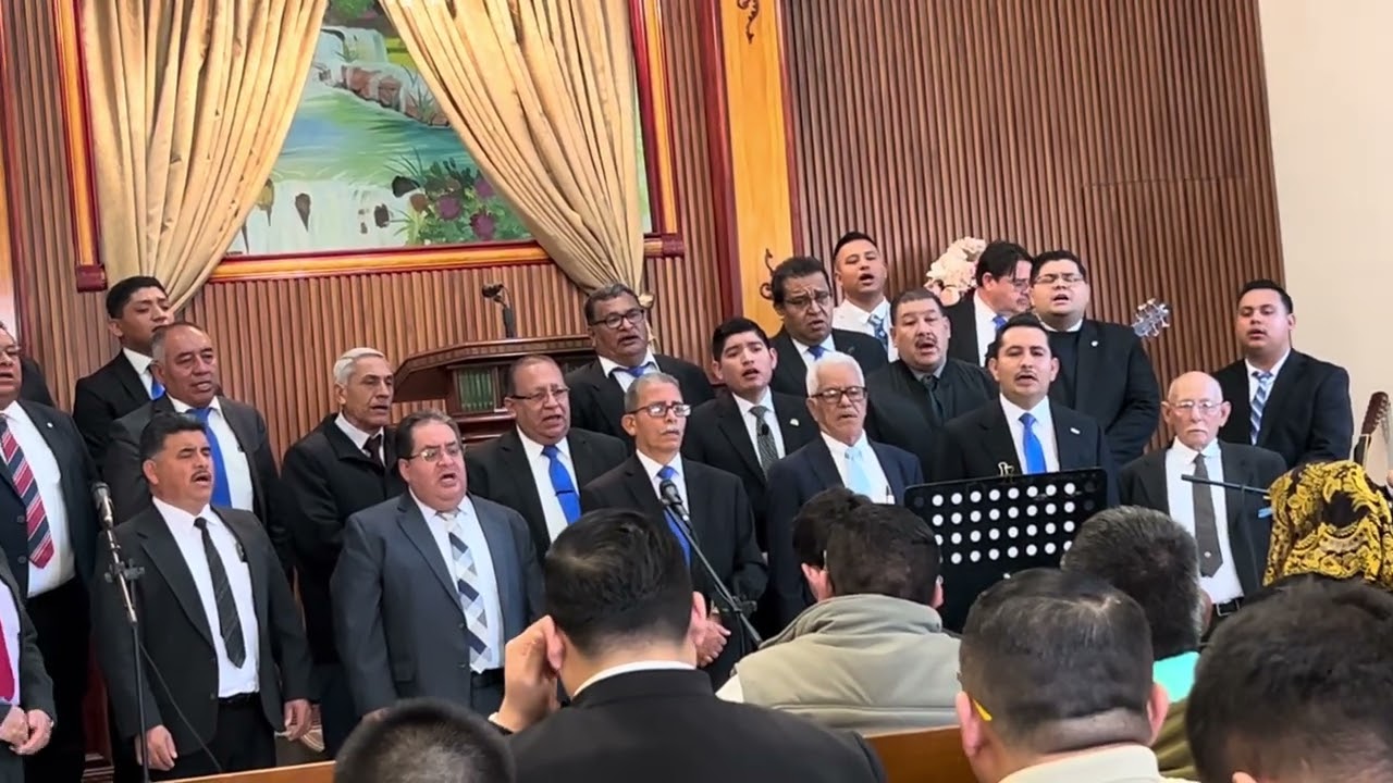 C ministerial. Dto 81. 