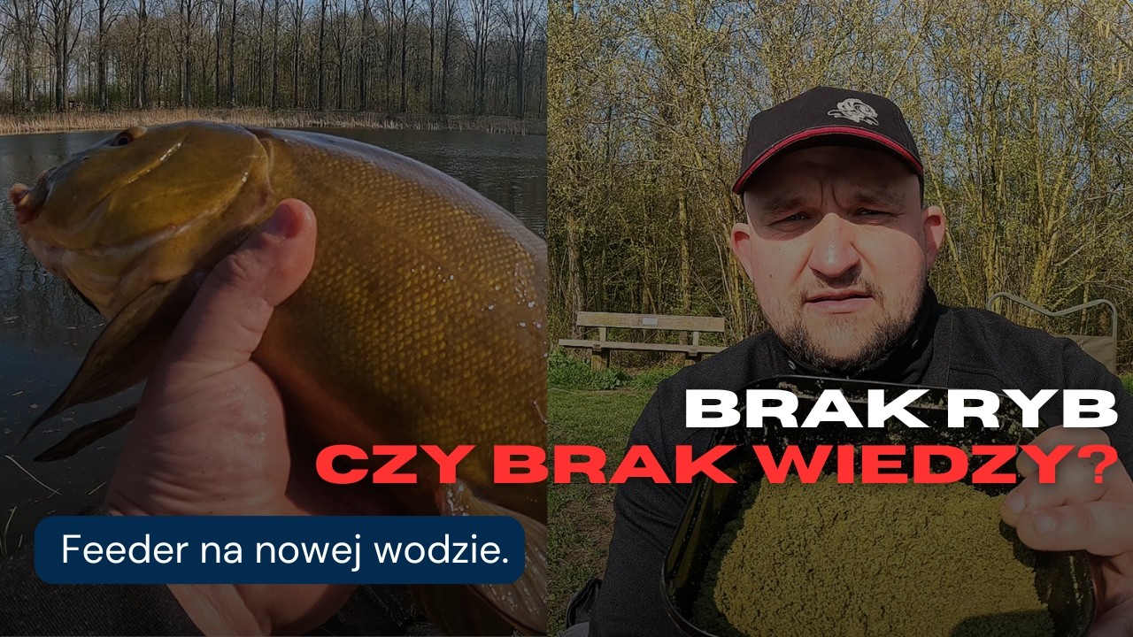 brak ryb czy brak wiedzy? feeder na nowej wodzie!