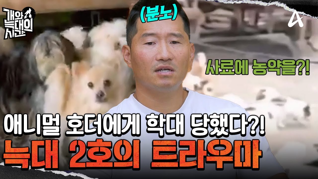 ＂쇳덩어리로 큰 소리를 내서 개들한테...＂ 애니멀 호더의 손에 키워졌던 늑대 2호 | 개와 늑대의 시간 11 회