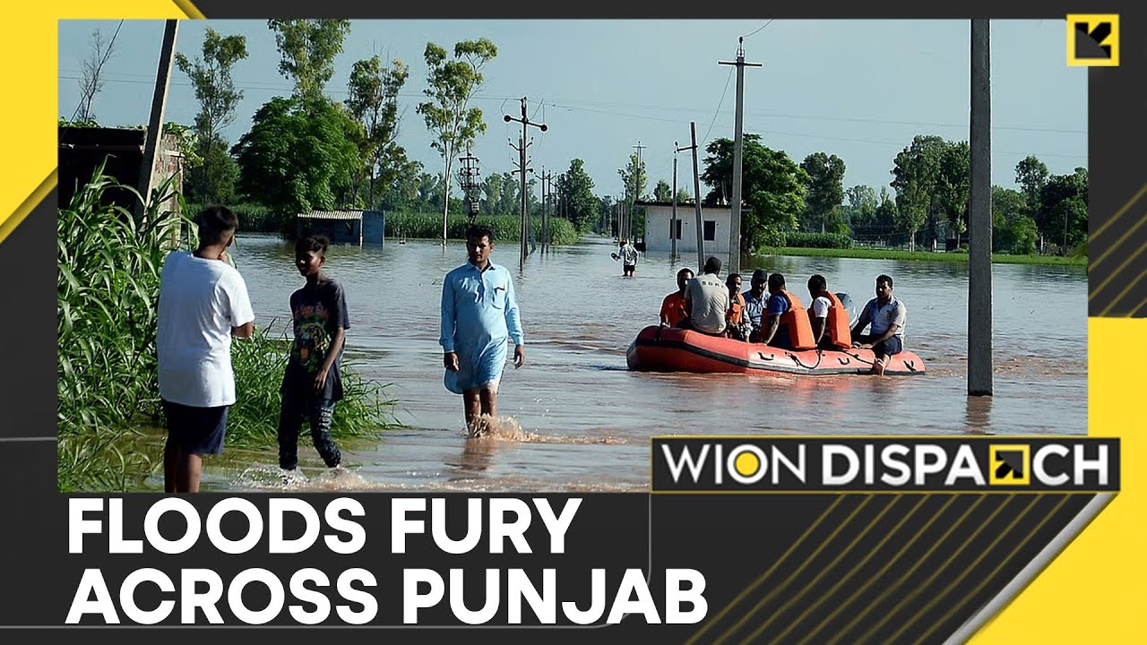 Punjab Grapples With Worst Floods Since 1988, 37 Dead Across State | WION DISPATCH
