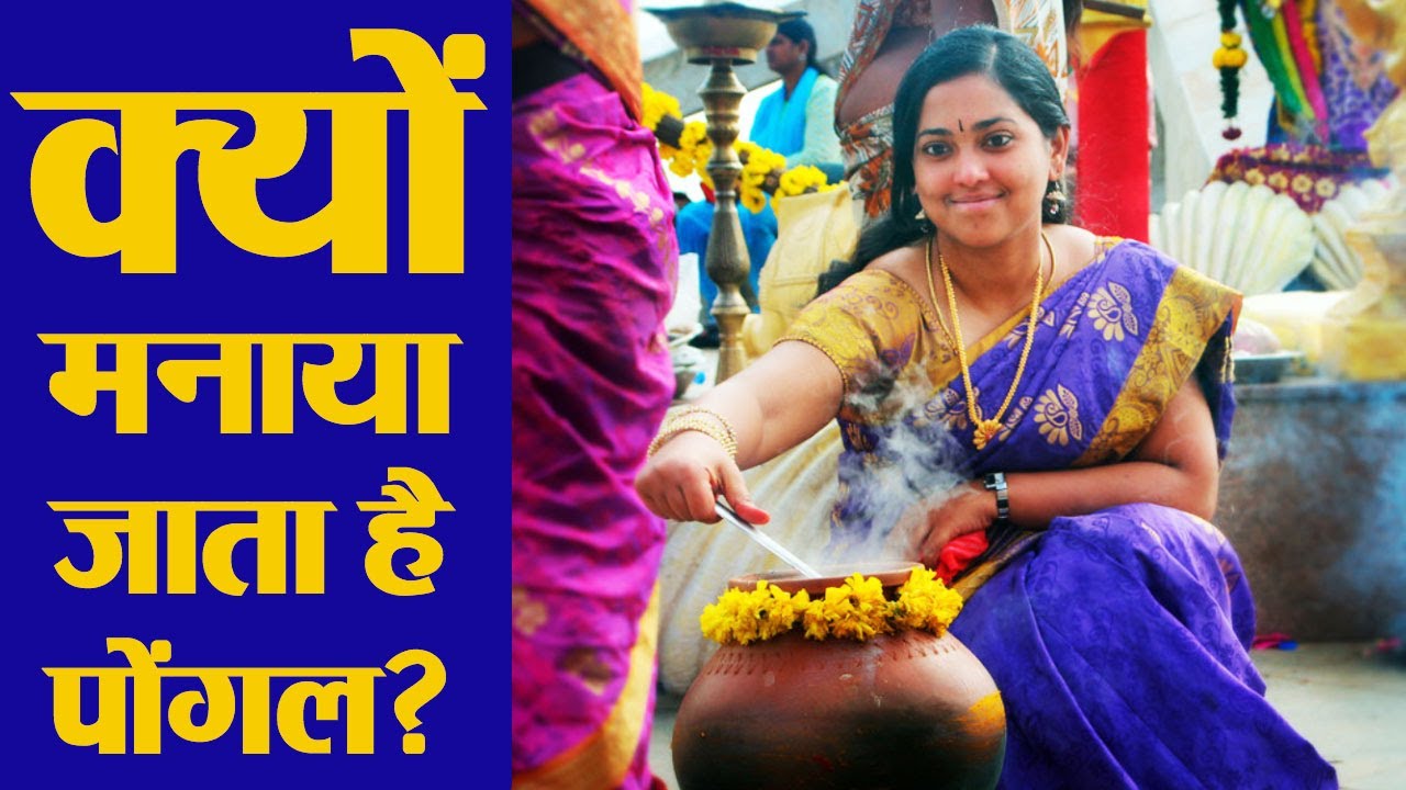 Pongal 2019: Importance of Festival | जानें क्&zwj;यों मनाया जाता है पोंगल? | Boldsky
