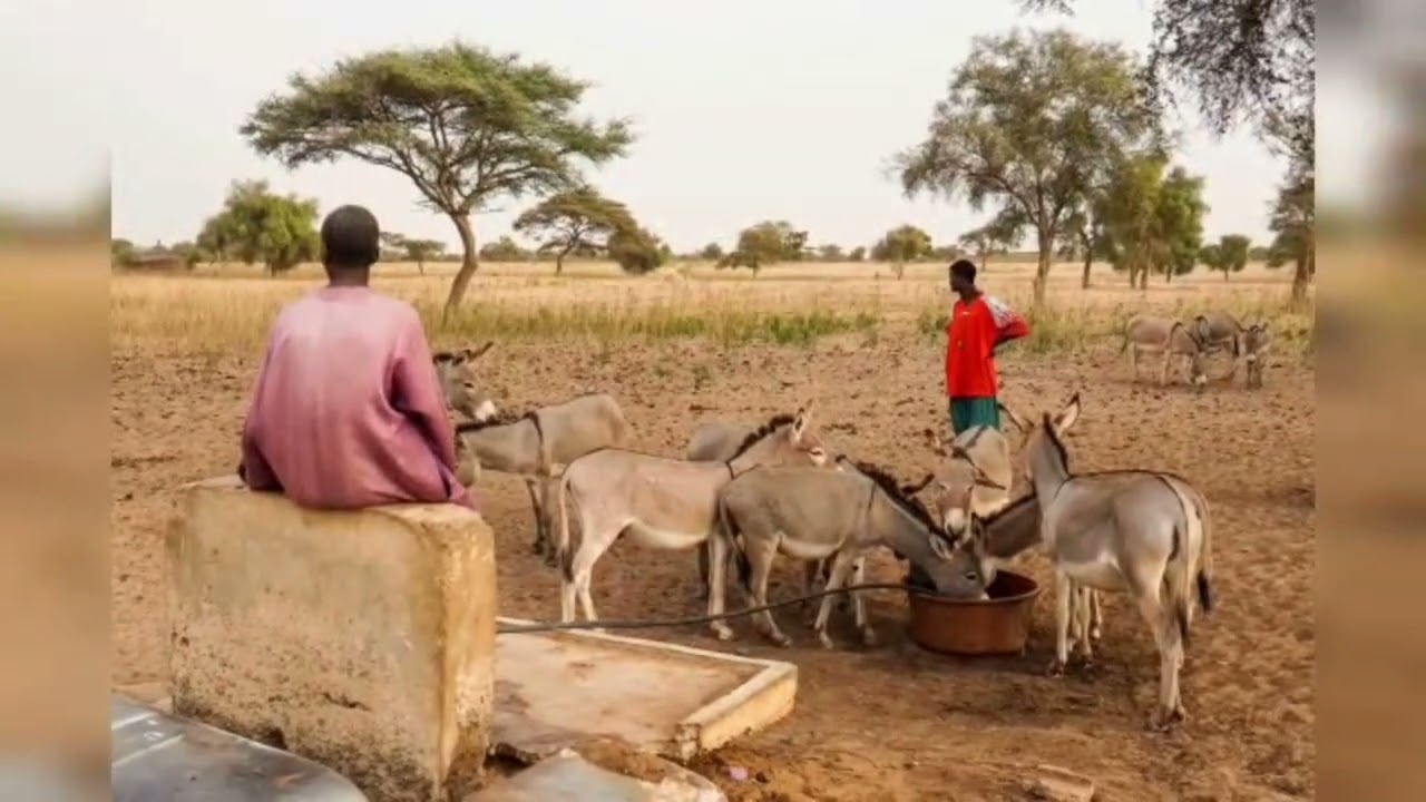 Histoire de NDOFFANE  MASSÉRIGNE